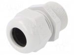 Cable gland | with long thread | PG21 | IP68 | polyamide | light grey
