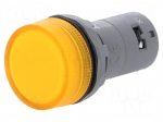 Control lamp | 22mm | CL2 | Illumin: LED | &Oslash;22mm | IP66,IP67,IP69K