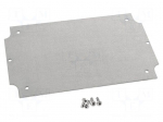 Mounting plate | steel