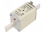 Fuse: fuse | 160A | 500VAC | 250VDC | gG | ceramic,industrial | NH1