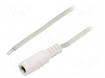 Cable | 2x0.5mm2 | wires,DC 5,5/2,5 socket | straight | transparent