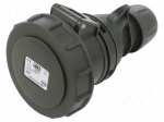 Connector: AC supply 3-phase | socket | female | 16A | 400VAC | IP67