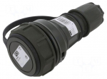 Connector: AC supply | female | socket | 2P+PE | 250VAC | 16A | green