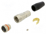 Connector: circular | push-pull | plug | PIN: 12 | 1A | HR25 | gold-plated