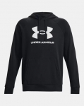 Under Armour Trainingshoddie Herren Hoodie