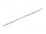 LED tape | white cold | 2216 | 24V | LED/m: 140 | 3.5mm | IP20 | 4.8W/m