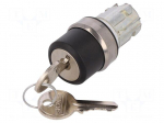Switch: rotary with key | Stabl.pos: 2 | 22mm | silver | Illumin: none