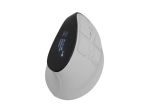 NATEC Wireless Mouse EUPHONIE PRO BT 5.0 2400DPI