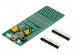 Dev.kit: Microchip AT90 | Series: AT90 | prototype board
