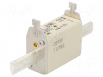 Fuse: fuse | gG | 25A | 500VAC | ceramic,industrial | NH1C | WT-NH