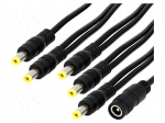 Cable | DC 5,5/2,1 socket,DC 5,5/2,1 plug x5 | straight | 0.5mm2