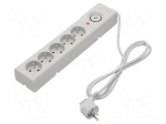 Plug socket strip: protective | Sockets: 5 | 250VAC | 10A | grey | 1.5m