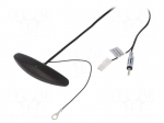 Antenna | automotive,inner | AM,FM | universal,with amplifier