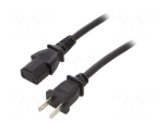 Cable | SJT | 2x18AWG | IEC C17 female,NEMA 1-15 (A) plug | PVC | 2.5m