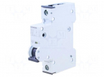 Circuit breaker | 230/400VAC | Inom: 10A | Poles: 1 | Charact: B | 10kA