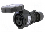 Connector: AC supply 3-phase | socket | female | 32A | 230VAC | IP67