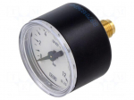 Manometer | 0&divide;12bar | Class: 2.5 | 40mm | Temp: -20&divide;60&deg;C | plastic