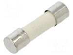 Fuse: fuse | 1A | 250VAC | quick blow | ceramic,cylindrical | 5x20mm