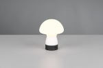 Trio Dooley LED table lamp matt white rechargeable gaismeklis R54981131 4017807643121