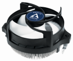 Arctic Alpine 23