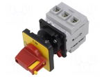 Switch-disconnector | Poles: 3 | on panel | 32A | IP65 from the front