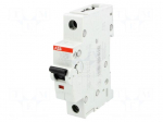 Circuit breaker | 230VAC | Inom: 25A | Poles: 1 | DIN | Charact: C | 6kA