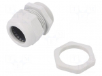 Cable gland | with thread PG | PG36 | IP68 | Mat: polyamide