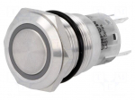 Switch: vandal resistant | Pos: 2 | SPDT | 0.5A/220VAC | 1A/24VDC | IP67