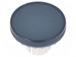 Actuator lens