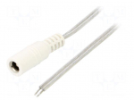 Cable | 2x0.5mm2 | wires,DC 5,5/2,5 socket | straight | transparent