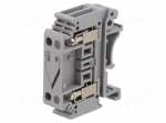 Splice terminal: rail | for DIN rail mounting | screw terminal