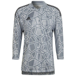 adidas Condivo 22 Goalkeeper Jersey Long Slevee grey HB1614
