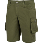 Men's shorts Alpinus Hekla green SI18154 M