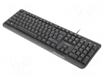 Keyboard | TROUT | black | USB A | wired,slim,US layout | Len: 1.8m