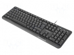 Keyboard | TROUT | black | USB A | FR layout,wired,slim | Len: 1.8m