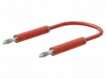 Test lead | 60VDC | 30VAC | 19A | banana plug 4mm,both sides | Len: 1m