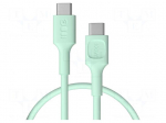 Cable | USB 2.0 | USB C plug,both sides | 0.3m | green | PVC | 480Mbps
