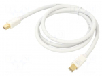 Cable | mini DisplayPort plug,both sides | DisplayPort 1.2 | white