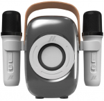 Speaker+Microphones SBS MUSIC HERO Wireless Party Band