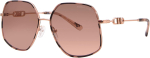 P&auml;ikeseprillid MICHAEL KORS naistele MK1127J110813 (l&auml;&auml;tse/silla/sanga) 59/16/145 mm