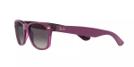 P&auml;ikeseprillid RAY BAN UNISEX RB2132-6606M3 (L&auml;&auml;ts/Sild/Tagaosa) 55/18/145 mm