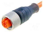 Connection lead | M12 | PIN: 3 | straight | 5m | plug | 250VAC | 4A | IP67