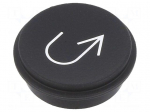 Button | round | &Oslash;21mm | black | 09
