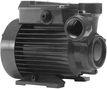 Pump CT 61 0,33kW 380V 50Hz Calpeda