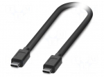 Cable | USB 3.2 Gen 2 | USB C plug,both sides | 0.3m | black | Cu | PVC