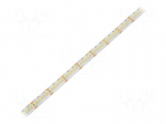 LED tape | white cold | 3528 | 24V | LED/m: 240 | 10mm | IP65 | 16W/m