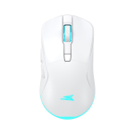 Baracuda TURTLE-W BGM-122, White