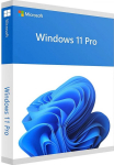 Microsoft Windows 11 Pro ENG Intl USB FPP