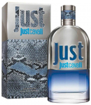 Roberto Cavalli Just Cavalli Him 2013 Perfume EDT 90 ml