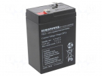 Re-battery: acid-lead | 6V | 4.5Ah | AGM | maintenance-free